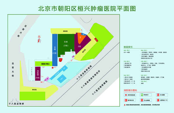 大鸡巴插骚鲍鱼视频北京市朝阳区桓兴肿瘤医院平面图